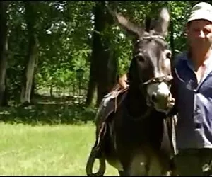 Sexo gratis jovenes en la granja en rumania