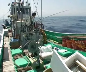 Pesca porno potoncitas tour en barco sexo 3-por packmans