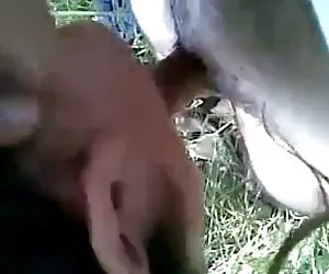 Quiero ver videos de sexo paki pathan follar su gf en campo