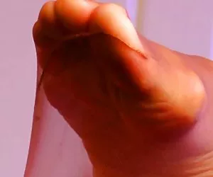 Xxx porno pies en nylon