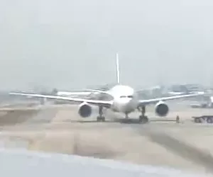 Servicio xxx los videos VIP en líneas aéreas de singapur