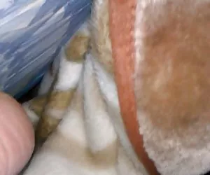 Hermana porno fotos 