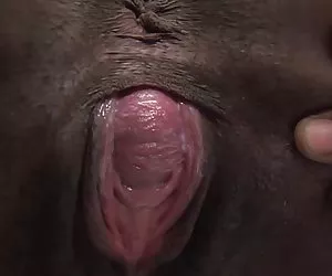 Lactamanija sexo en la playa - keisha