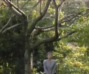 Ídolo sexo no amor vintage japonesa