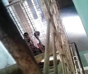 Bagito otra vez