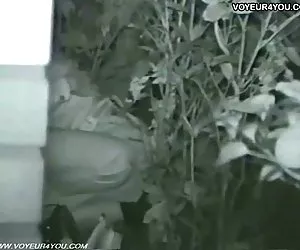Videos gratis pormo banco de parque de sexo en la noche