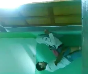 Mas que zorras sman cibr oscilante