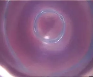 Sexo filial jugó de asia