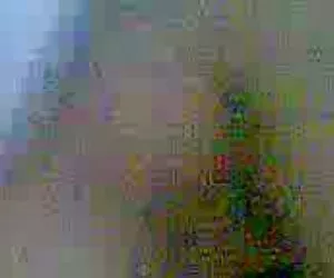 Videos por xxx amatuer de mi niña malay del vecino