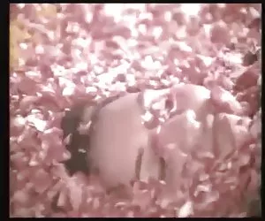Pratibha fotos mujeres encueradas - clips de película India