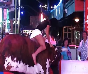 Perras xxc cachonda culo y upskirt en el toro